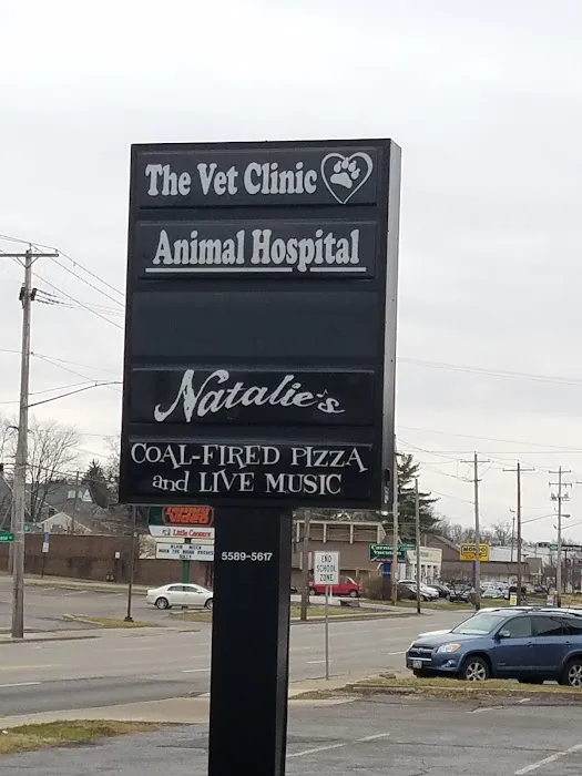 Vet Clinic 12