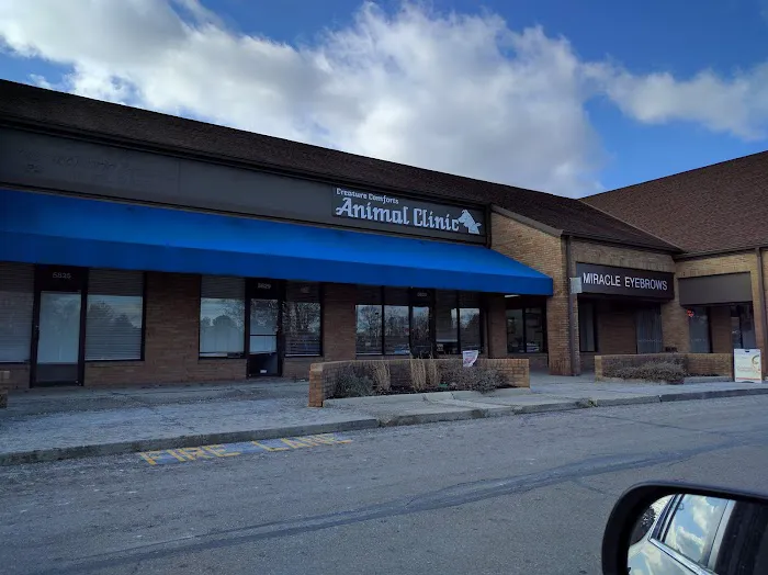 Creature Comforts Animal Clinic 12