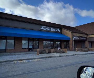 Creature Comforts Animal Clinic