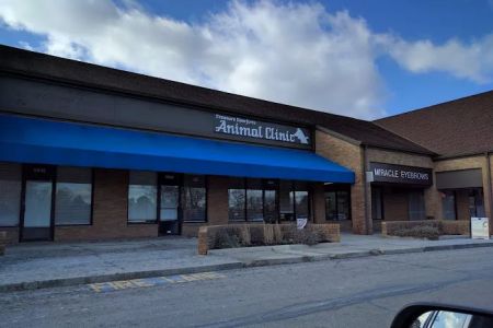 Creature Comforts Animal Clinic