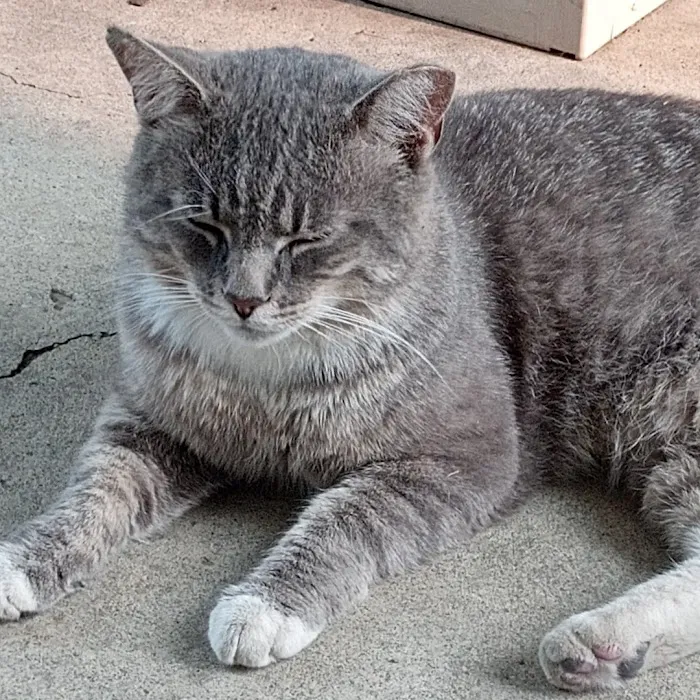 Morse Road Veterinary Clinic 12