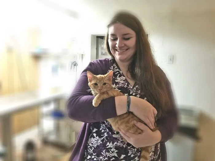 Morse Road Veterinary Clinic 12