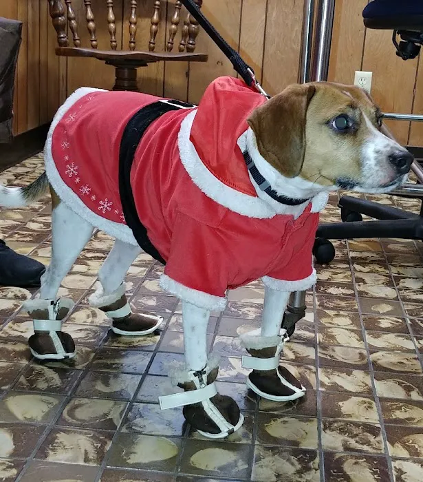 Morse Road Veterinary Clinic 12