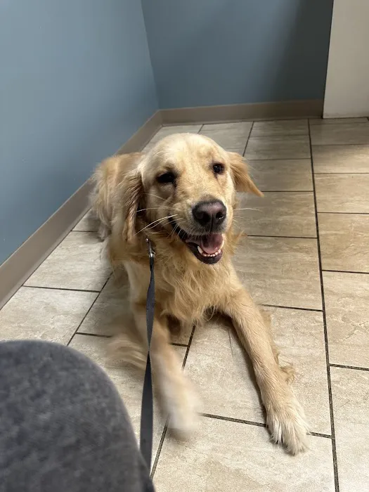 Animal Hospital of Worthington 1