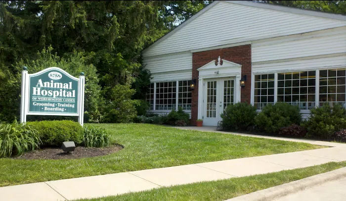 Animal Hospital of Worthington 10