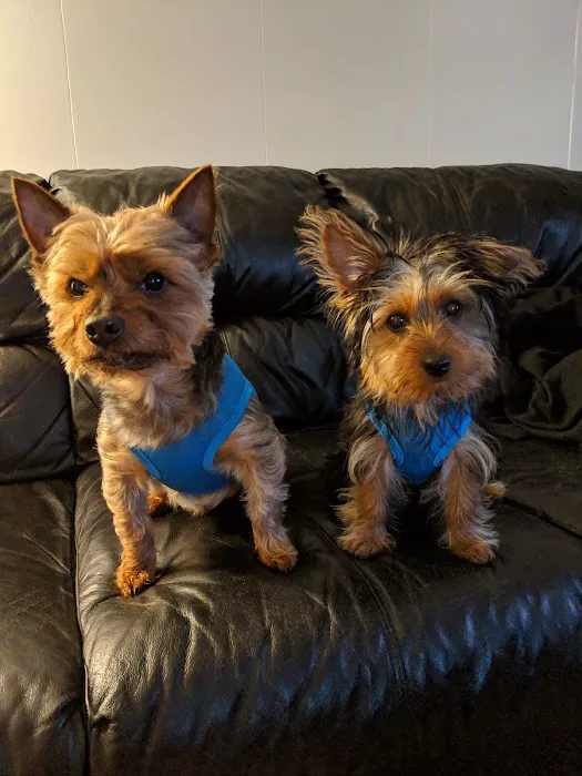 Pet Solutions of Columbus 12