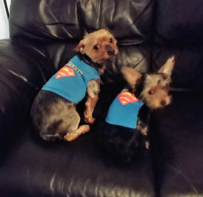 Pet Solutions of Columbus 12