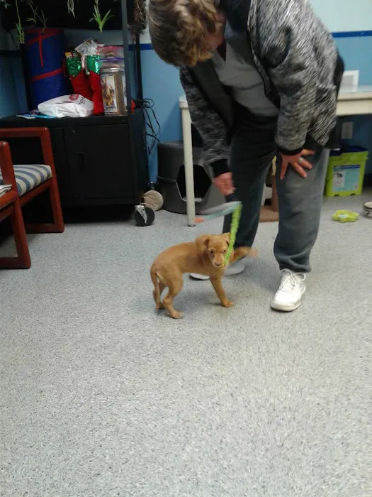 Pet Solutions of Columbus 12