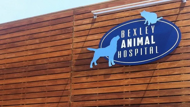 Bexley Animal Hospital 3