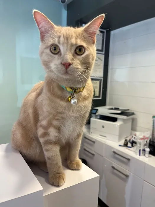 Bexley Animal Hospital 7