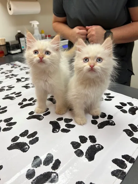 Bexley Animal Hospital 8