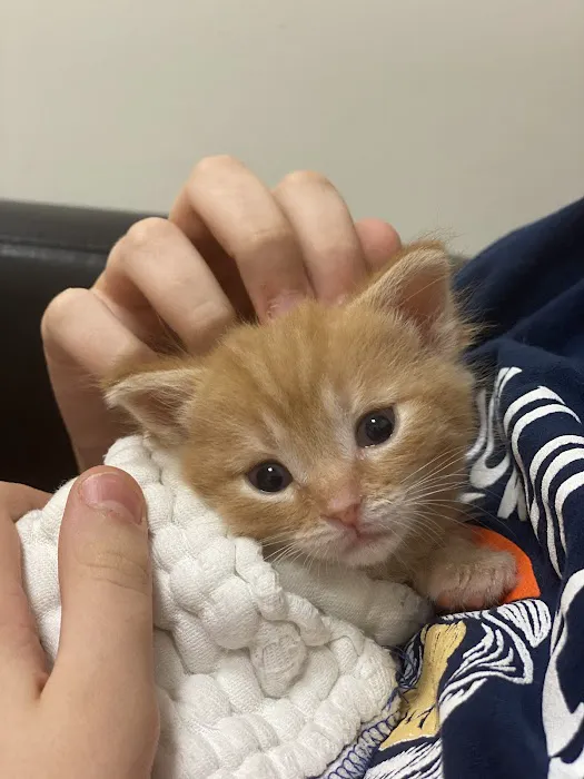 Bexley Animal Hospital 5