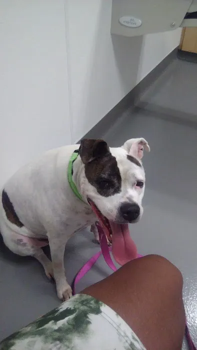 Columbus Humane Essential Care Center 12