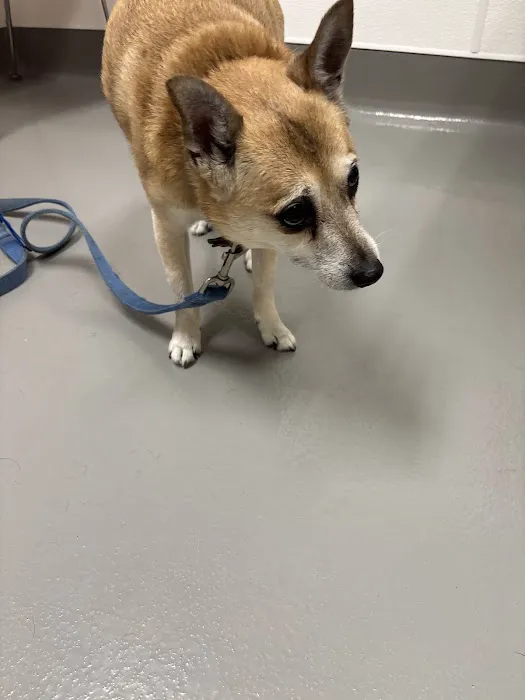 Columbus Humane Essential Care Center 12