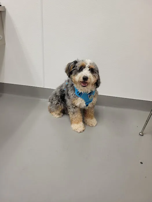 Columbus Humane Essential Care Center 12