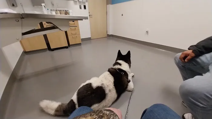Columbus Humane Essential Care Center 12