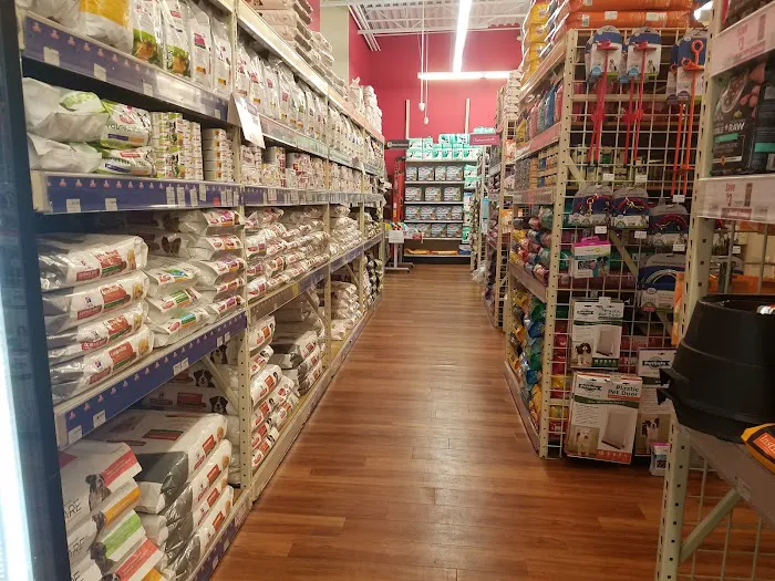 Pet Supermarket 12