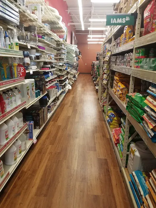 Pet Supermarket 12