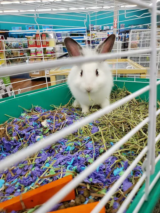 Pet Supermarket 12