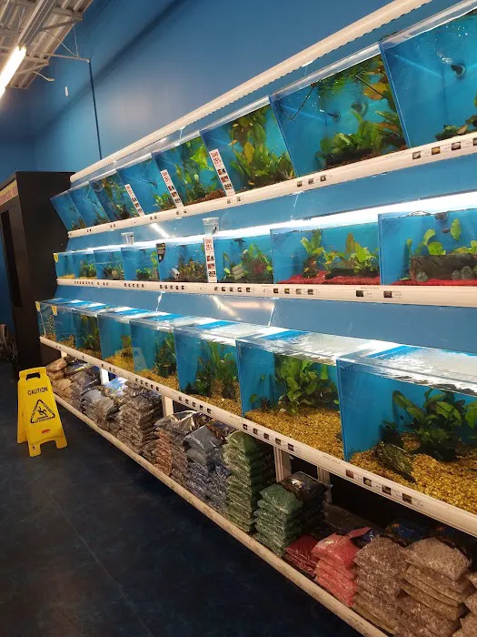 Pet Supermarket 12