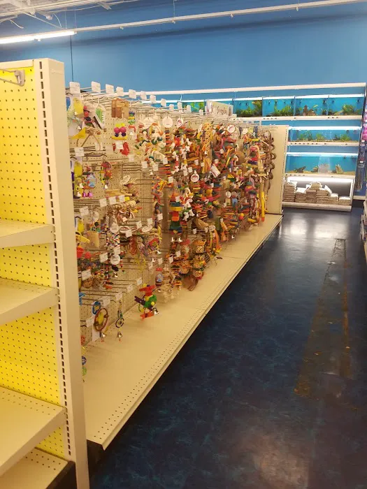 Pet Supermarket 12