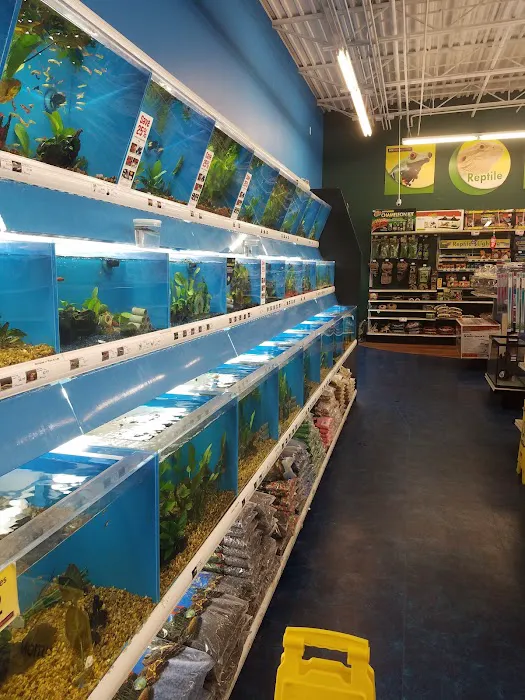 Pet Supermarket 12