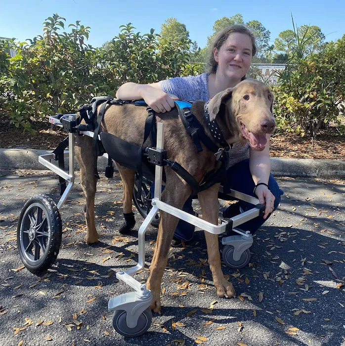 K9 Carts 12