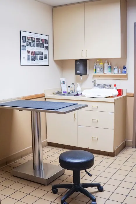 Keller Lake Animal Hospital 12