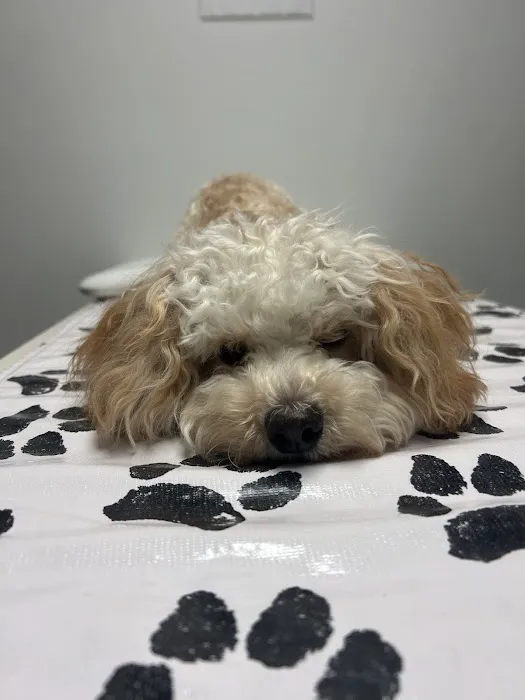 Arden Shoreview Animal Hospital 6