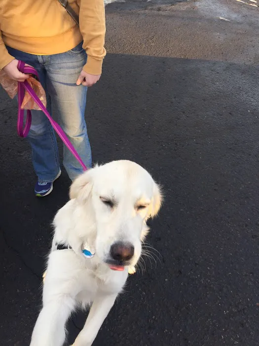 Arden Shoreview Animal Hospital 2