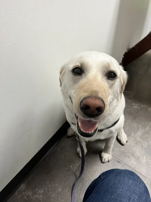 Arden Shoreview Animal Hospital 8