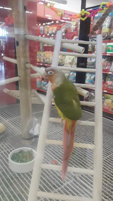 Petco 12