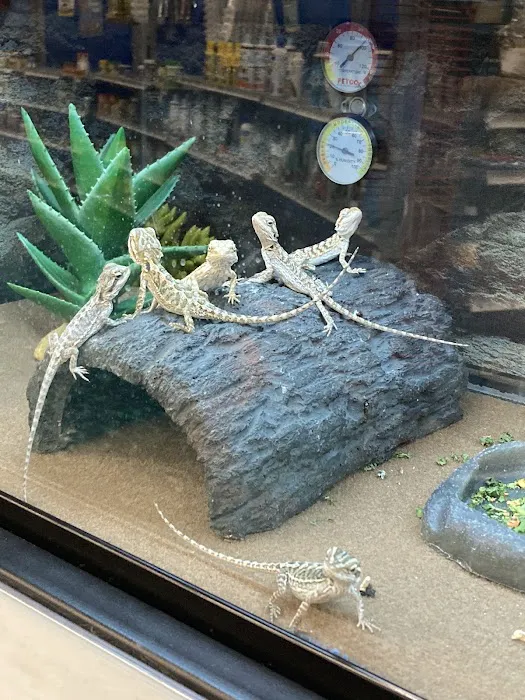 Petco 12