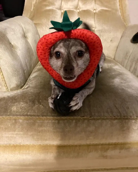 Petco 12