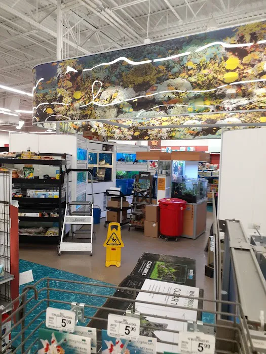 Petco 12