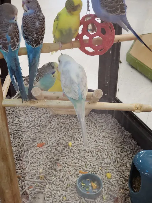 Petco 12