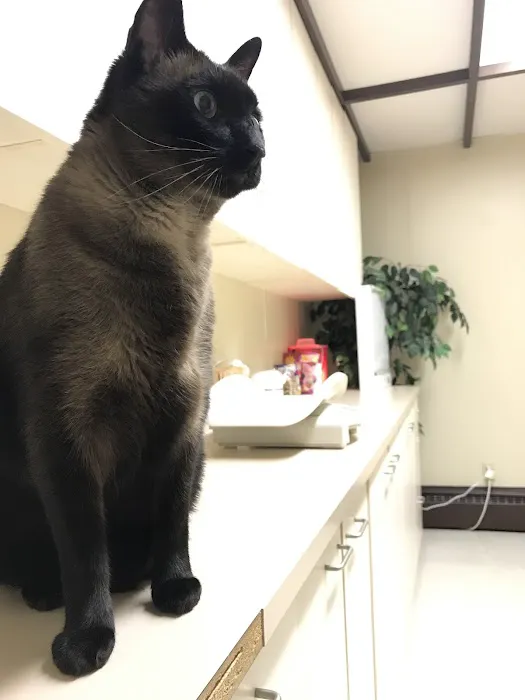 Arcade Animal Hospital 5