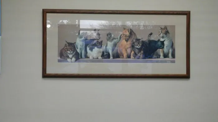 Arcade Animal Hospital 4