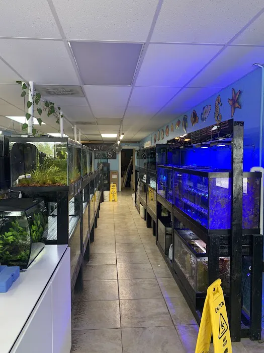 Finatic Aquatics 12