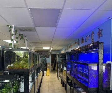 Finatic Aquatics