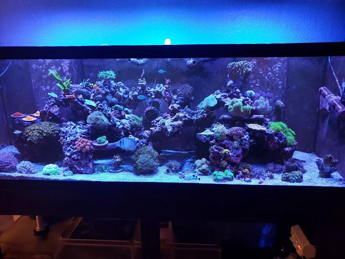Finatic Aquatics 12