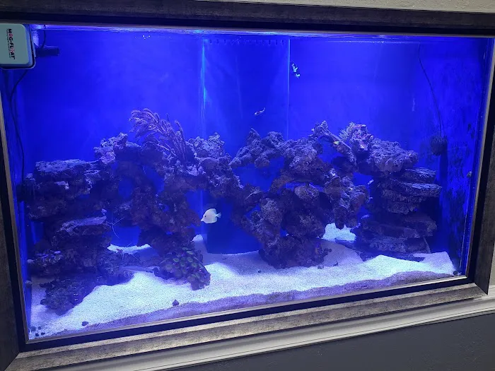 Finatic Aquatics 12