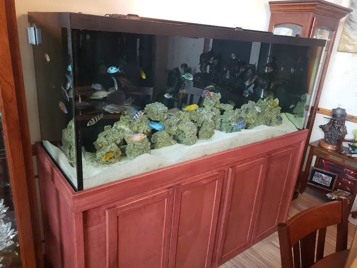 Finatic Aquatics 12