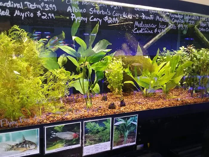 Finatic Aquatics 12