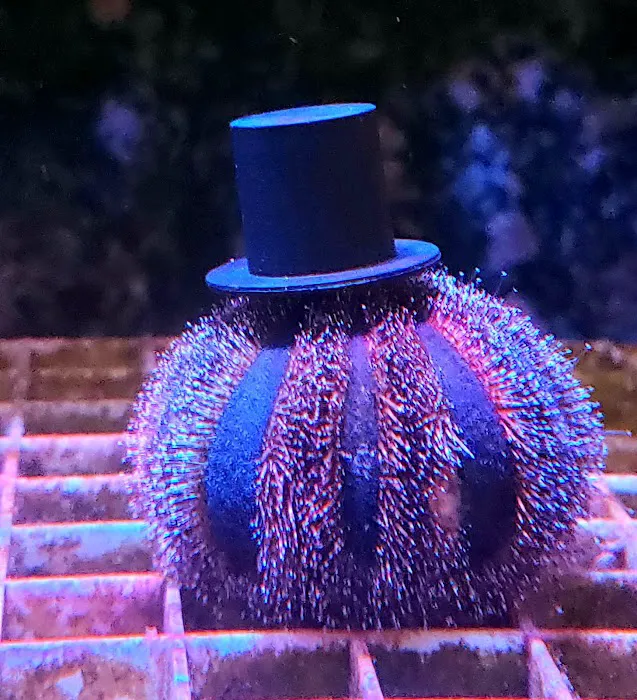 Finatic Aquatics 12