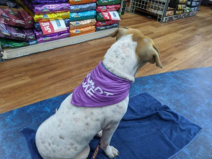 Pet Supermarket 12