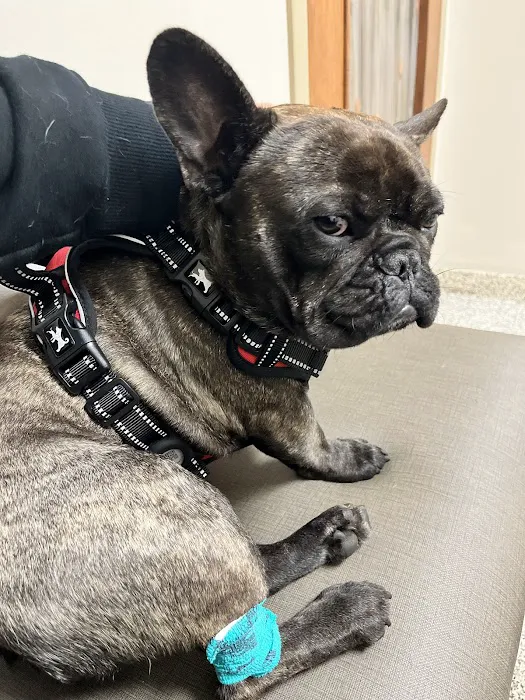 Allied Veterinary Emergency & Referral 1