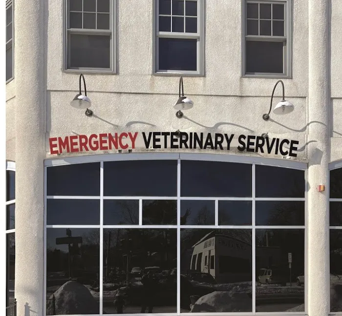 Allied Veterinary Emergency & Referral 7