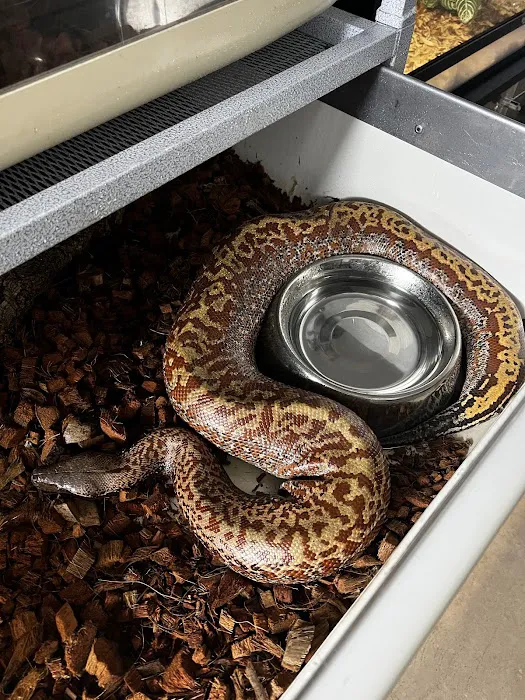CjC Exotics, LLC 12