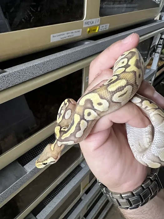 CjC Exotics, LLC 12